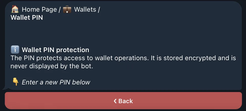 QZAR 钱包 PIN 页面，用于设置或修改导出私钥前必须输入的 PIN